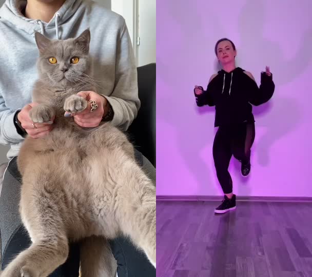 @DodoTheCat 😻