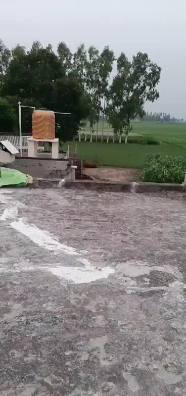 @JashanBenipal315