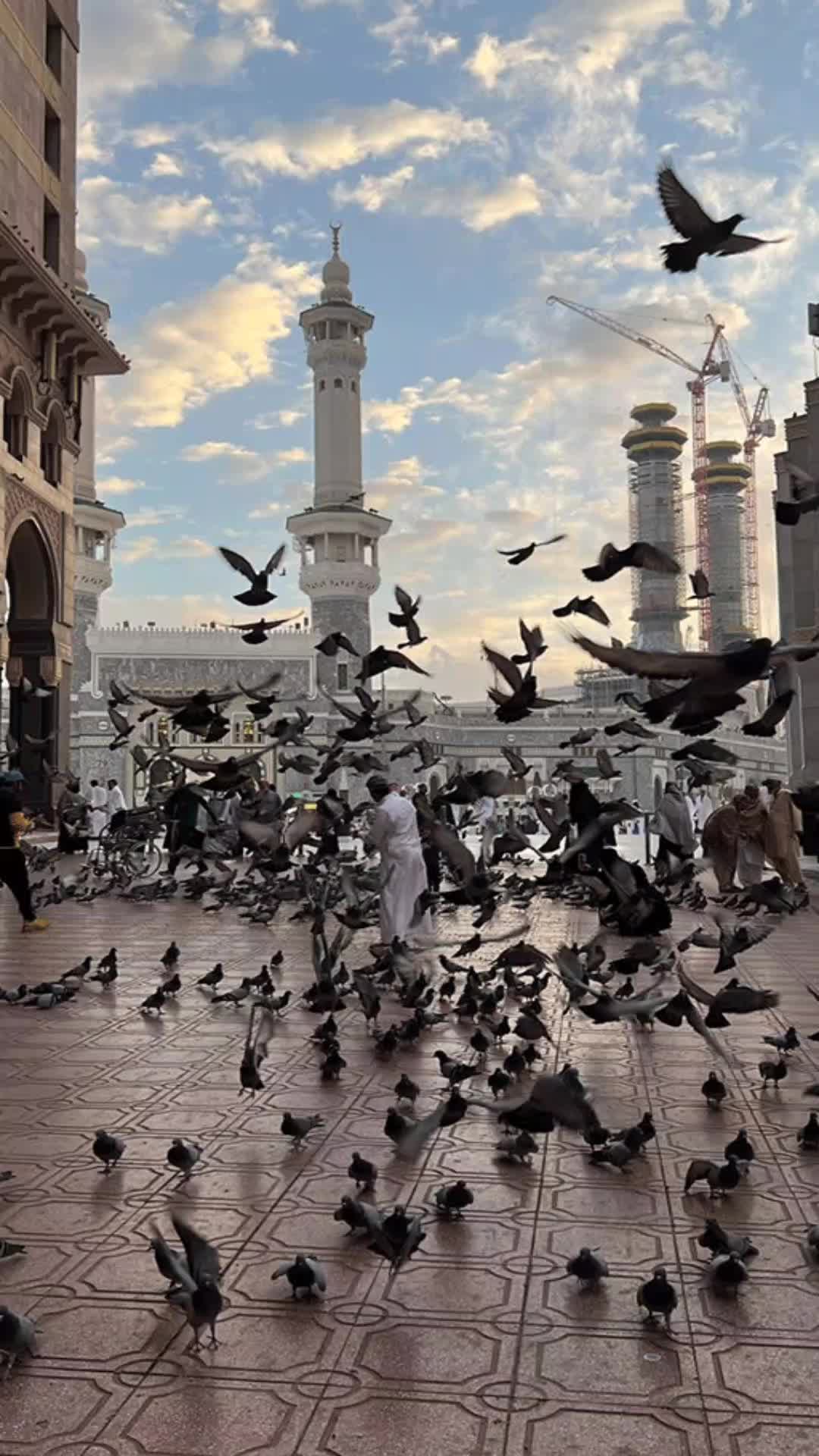 @MATOO KHAN 🔥🔥🔥