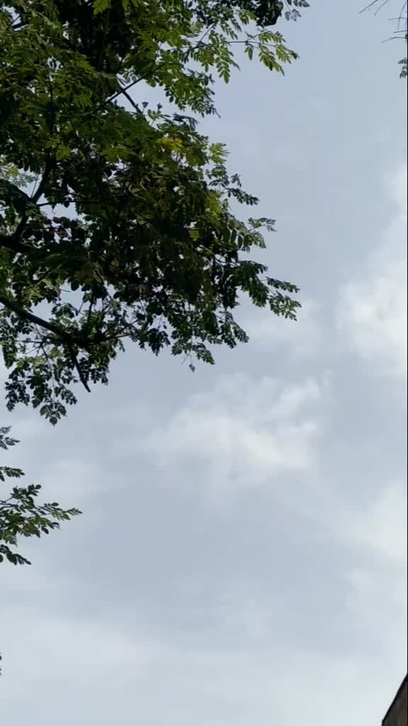 @mani kaur