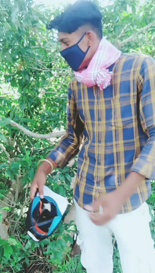 @Kumar Dipu