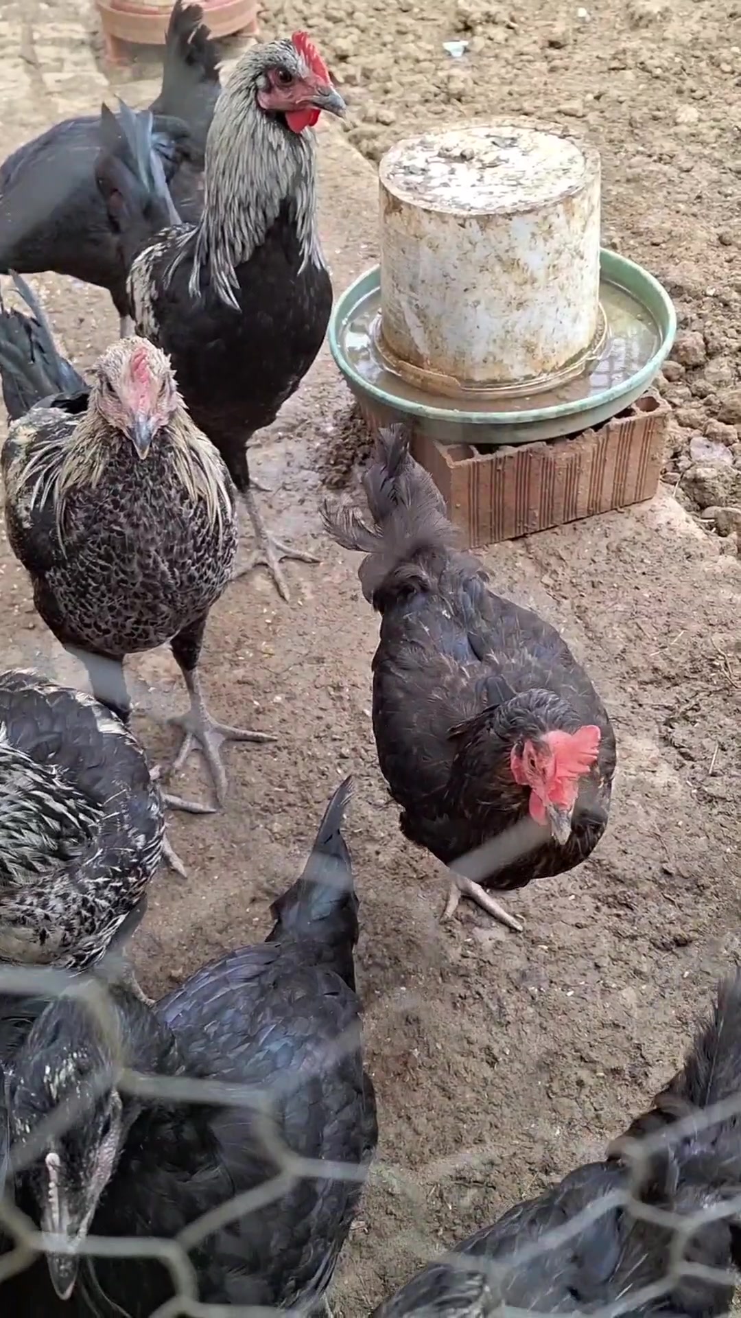 @OTTR Çek Gönder Gelsin