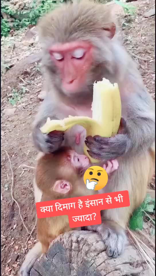 @Bijay kor