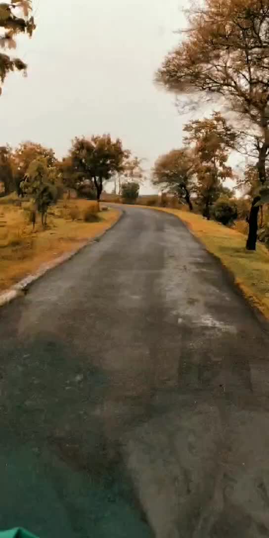 @Mari #Bhai