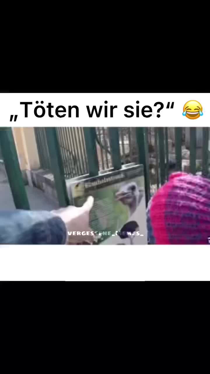 @vergessene_Memes_