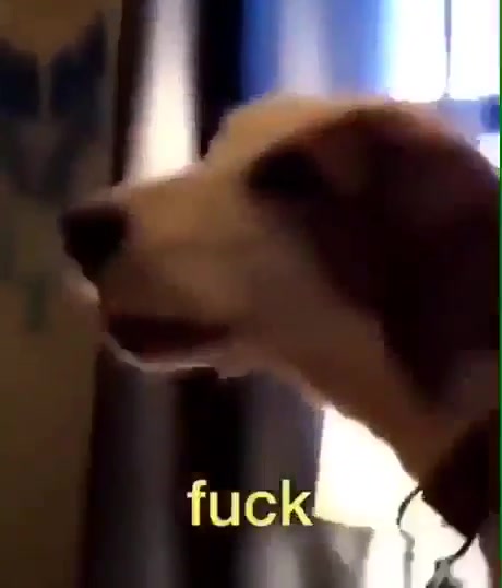 @Viral AF