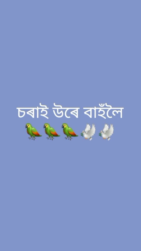@@_Mr_Bitu_🤟420