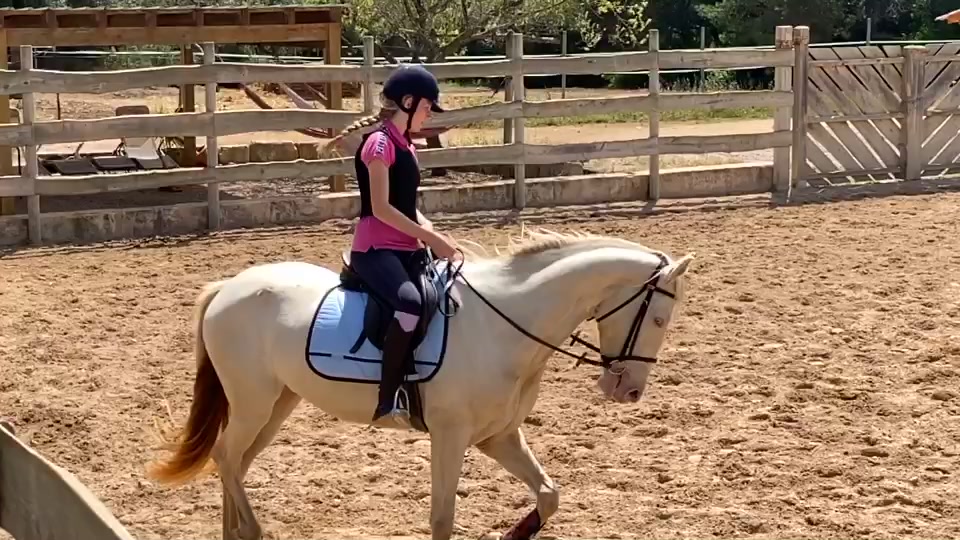@🐴💎🥰