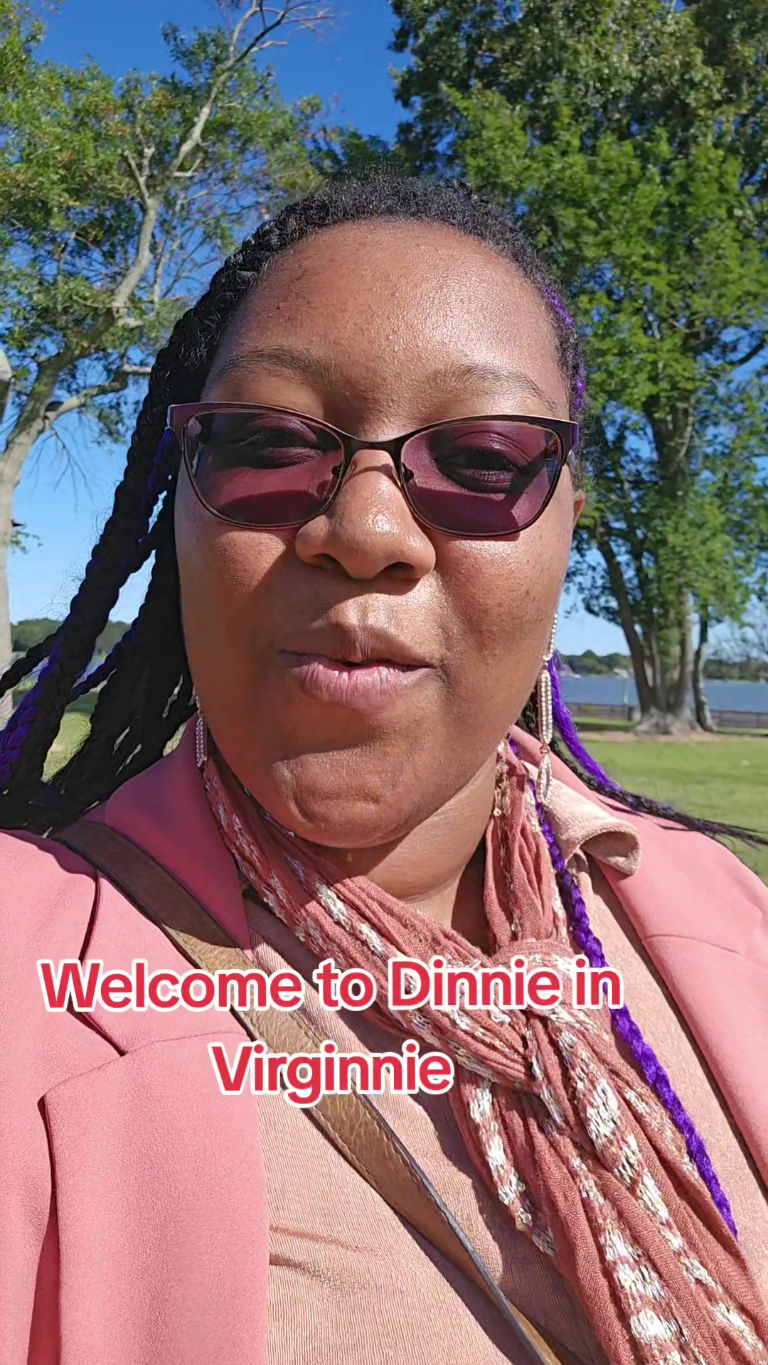 @DinnieInVirginnie