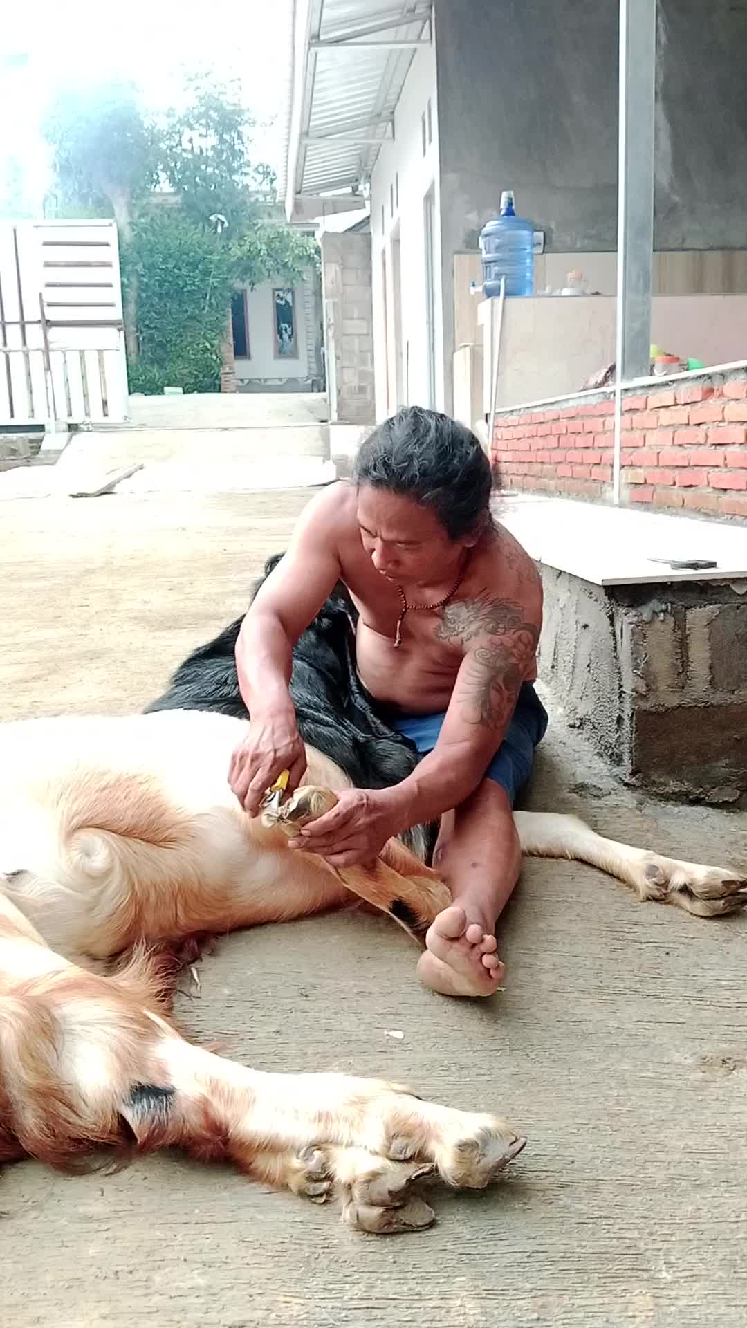 @yudi_tatto