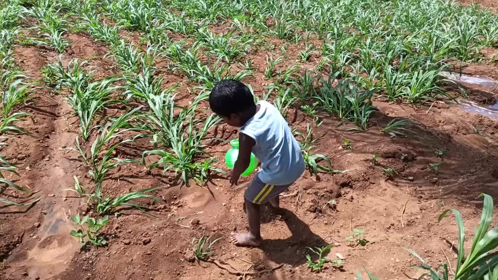 @Jagadeesh Billa Jaga