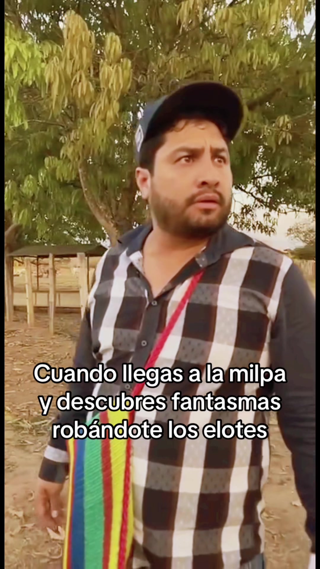 @Whois