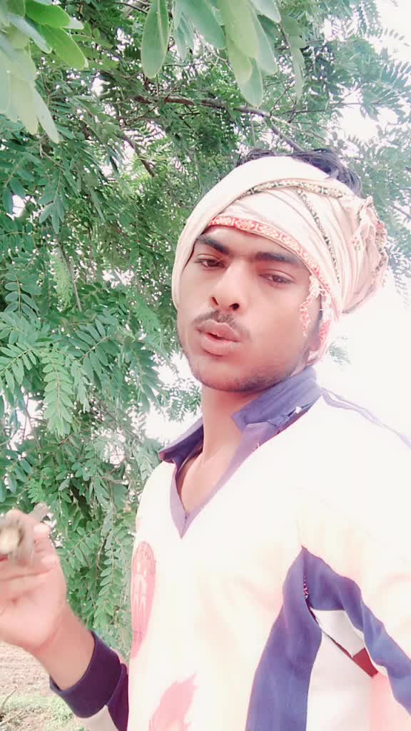 @Amol Gujar