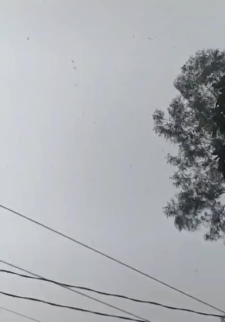 @lalitpatil0024k
