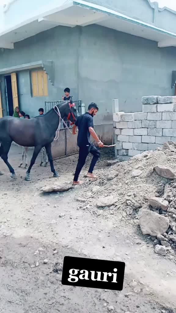 @🐴🐎નટખટ અષવાર 😉😁
