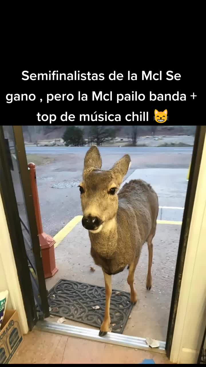 @moonztyle