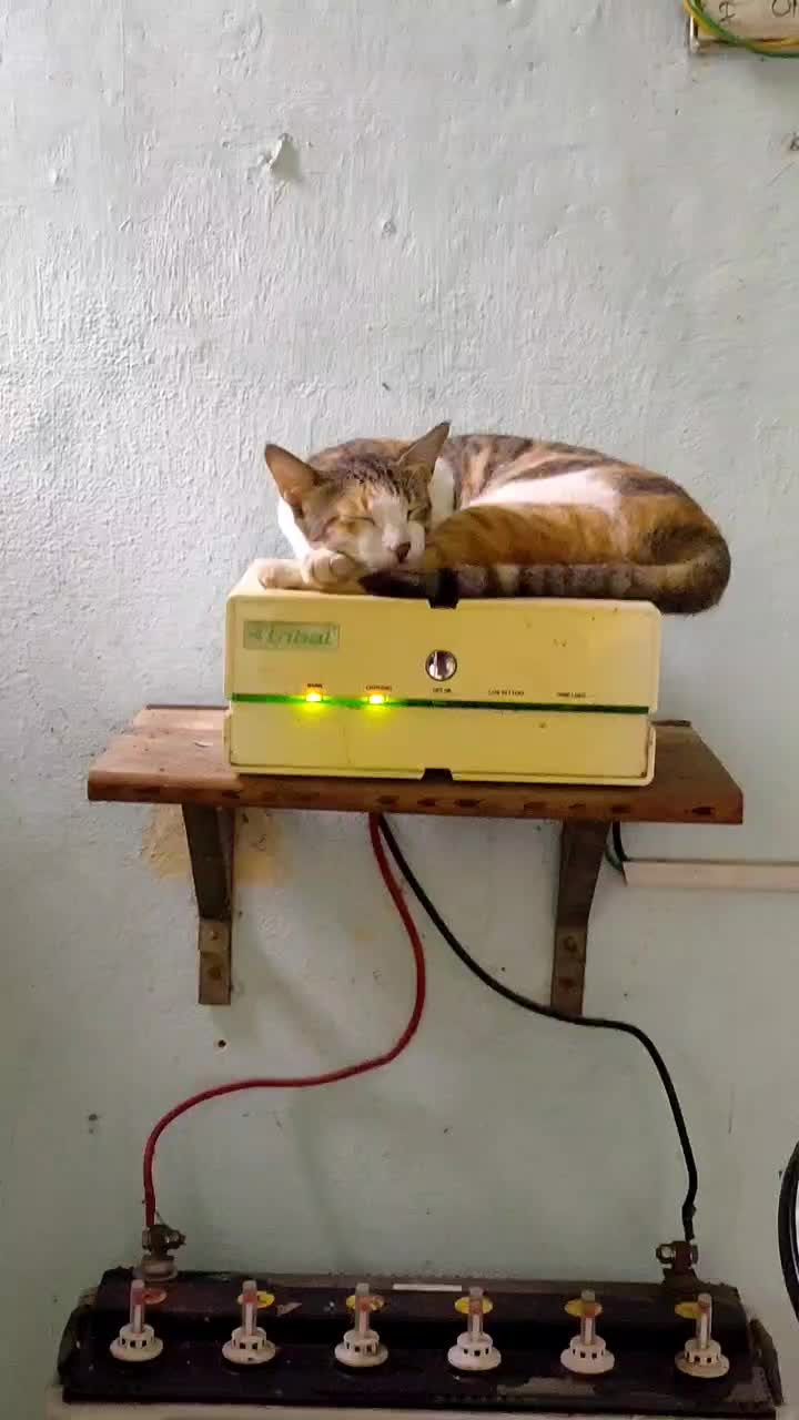 @srinivas juvvala