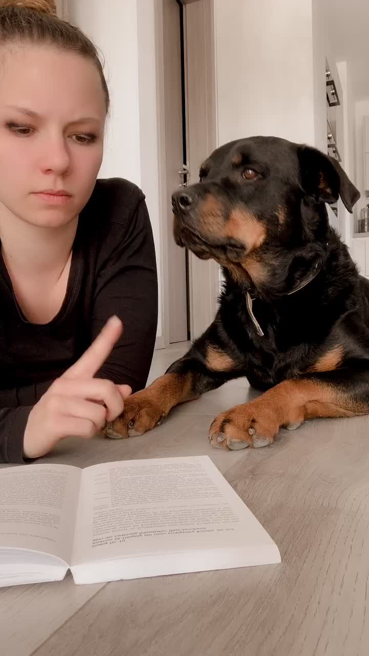 @Naxx & Buddy