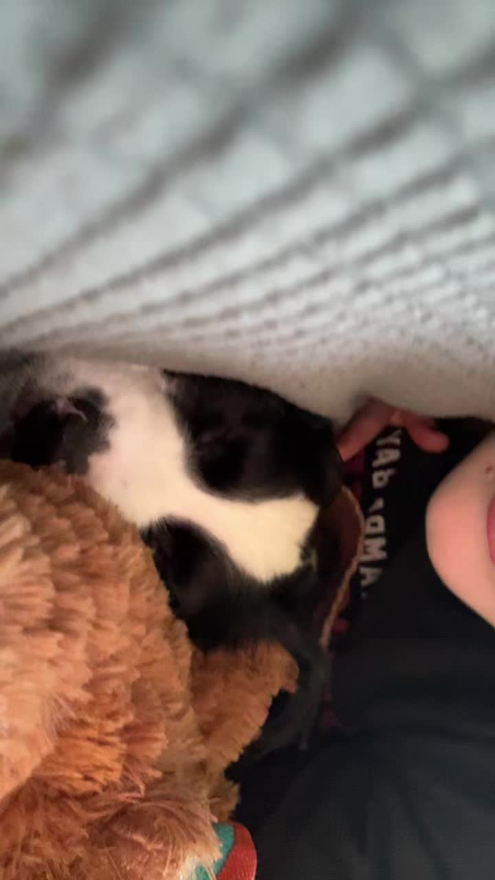 @Mikaela:)