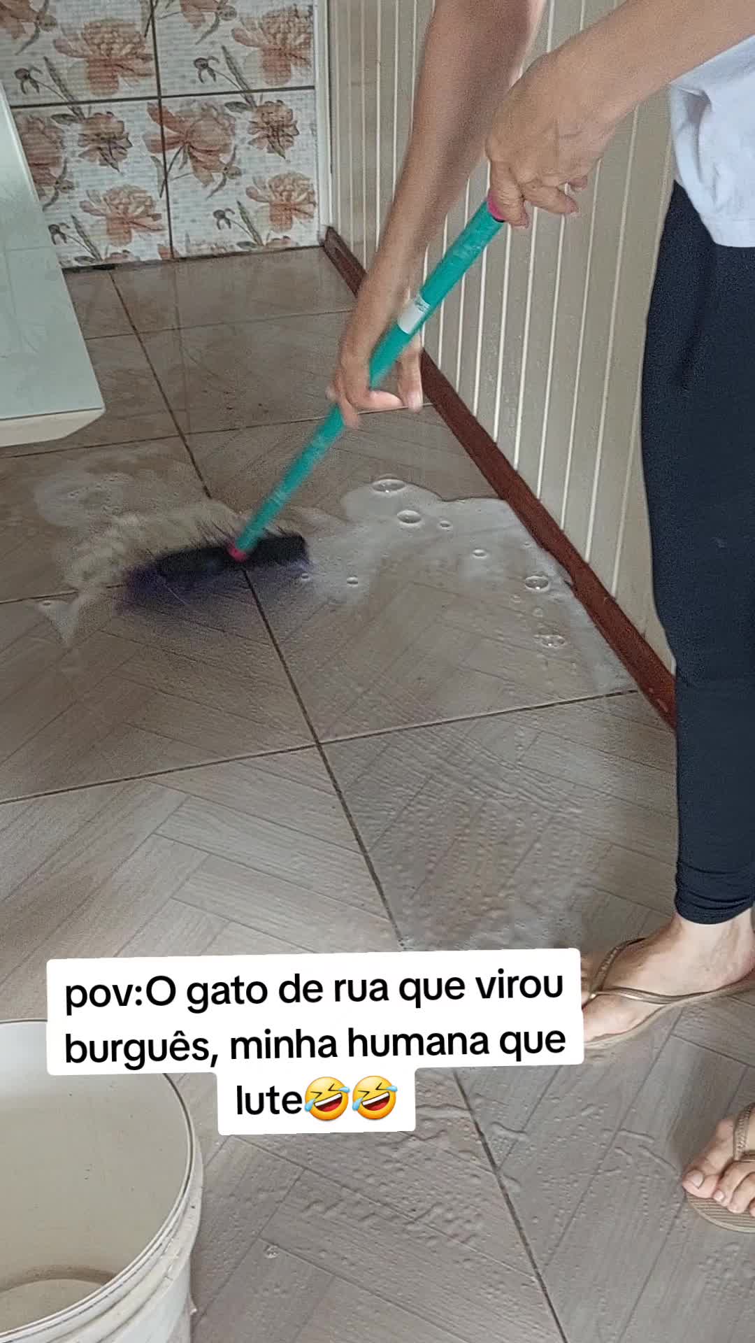 @Luci