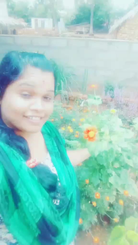 @stella1627
