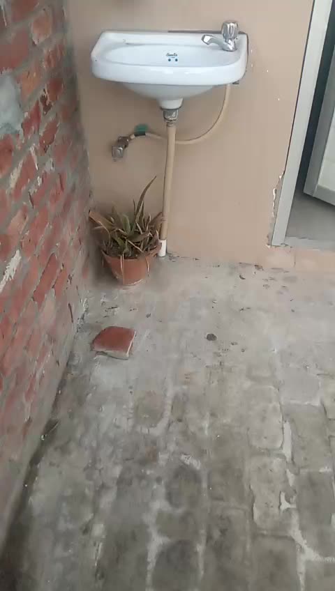 @Ankit Mattu