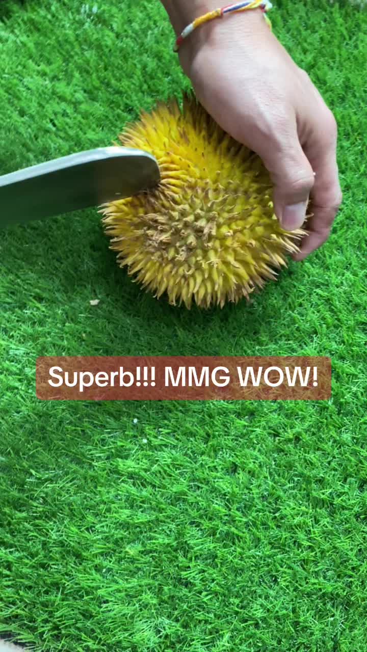 @Durian King Kaki