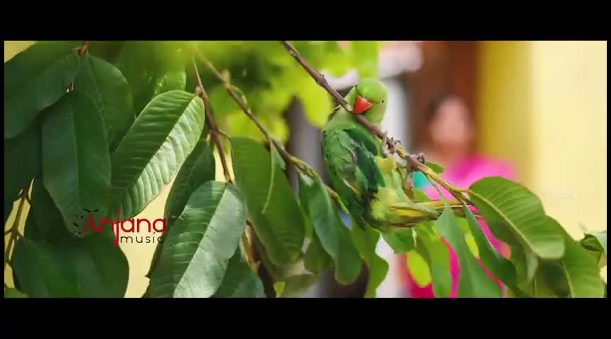 @Chakali srinivas Cha