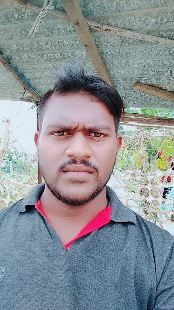 @gani katama