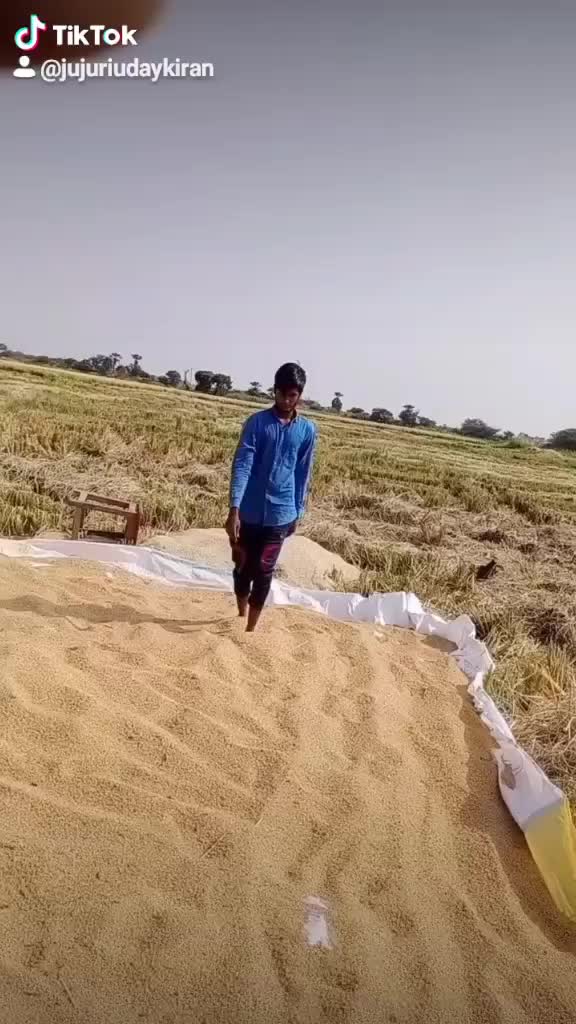 @user4489896036902