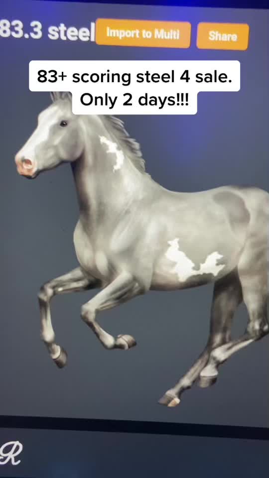 @Horse reality🤍
