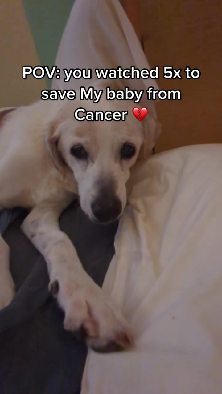 @PrayForCooper