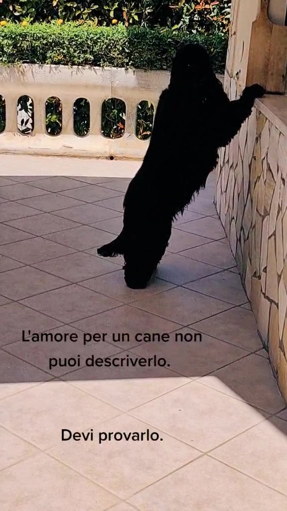 @Valentina Terzi