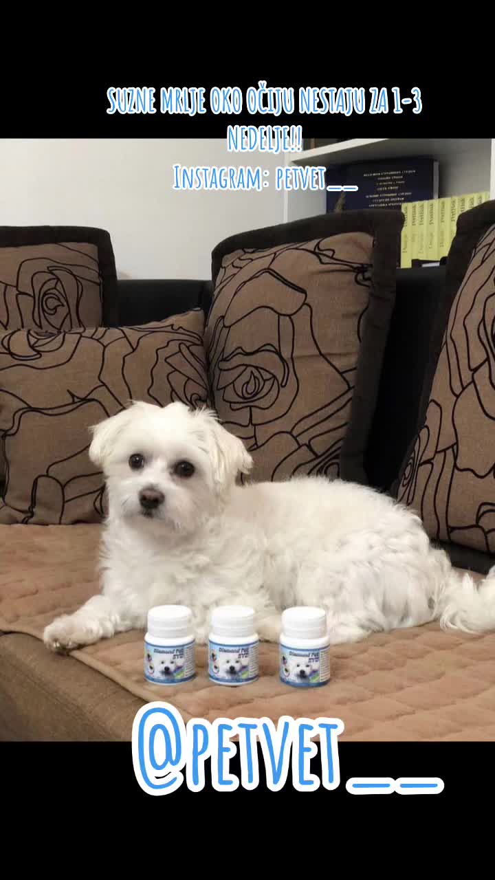 @Petvet