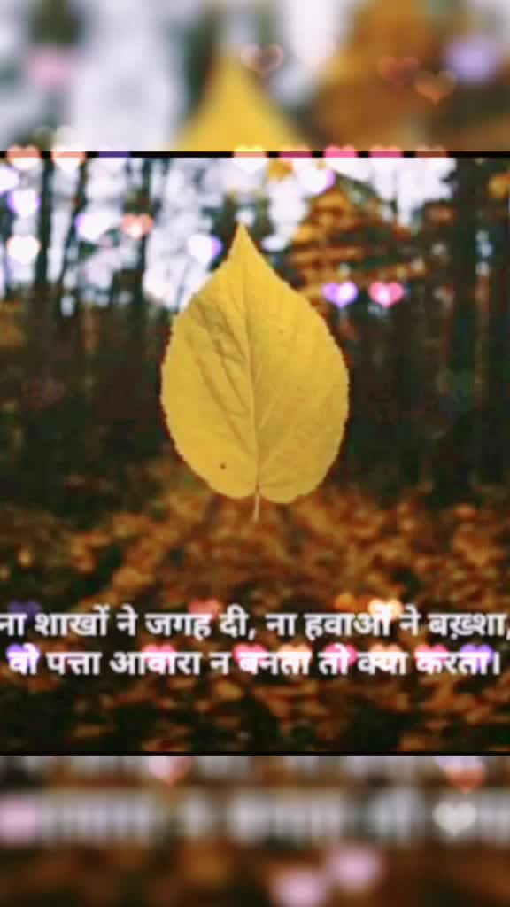 @user8991030505441