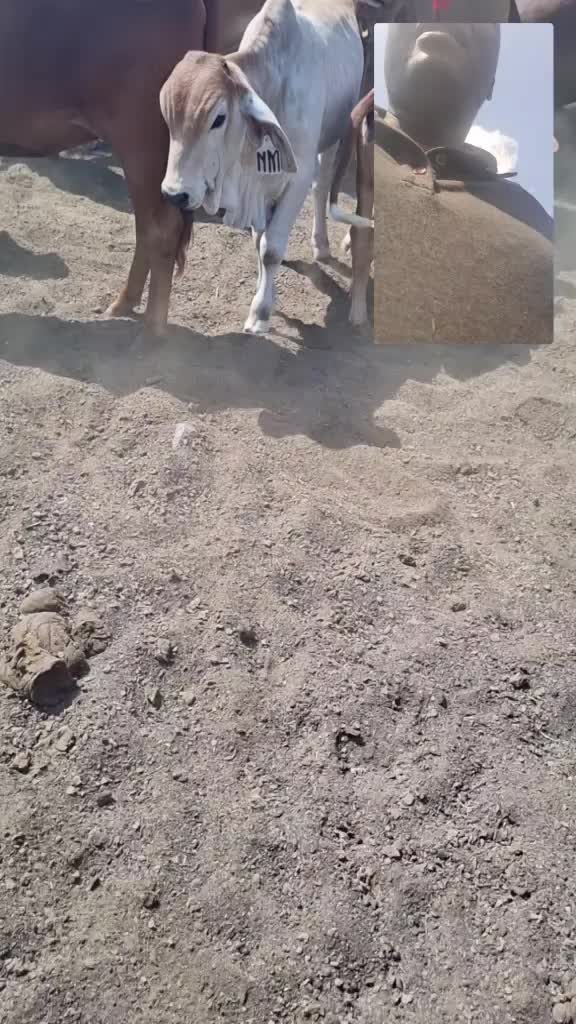 @Tebogo Moloto