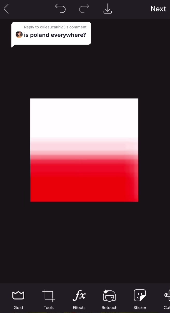 @Poland Is Everywhere 🇵🇱