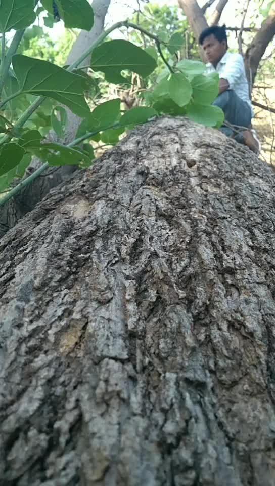 @राwan..
