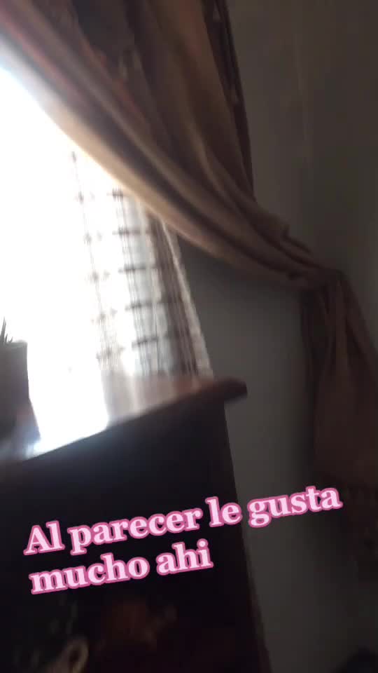 @Judy Zenizo
