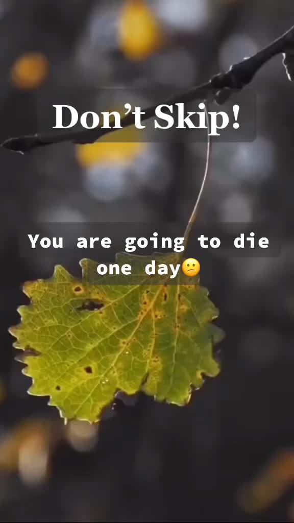@owais1707