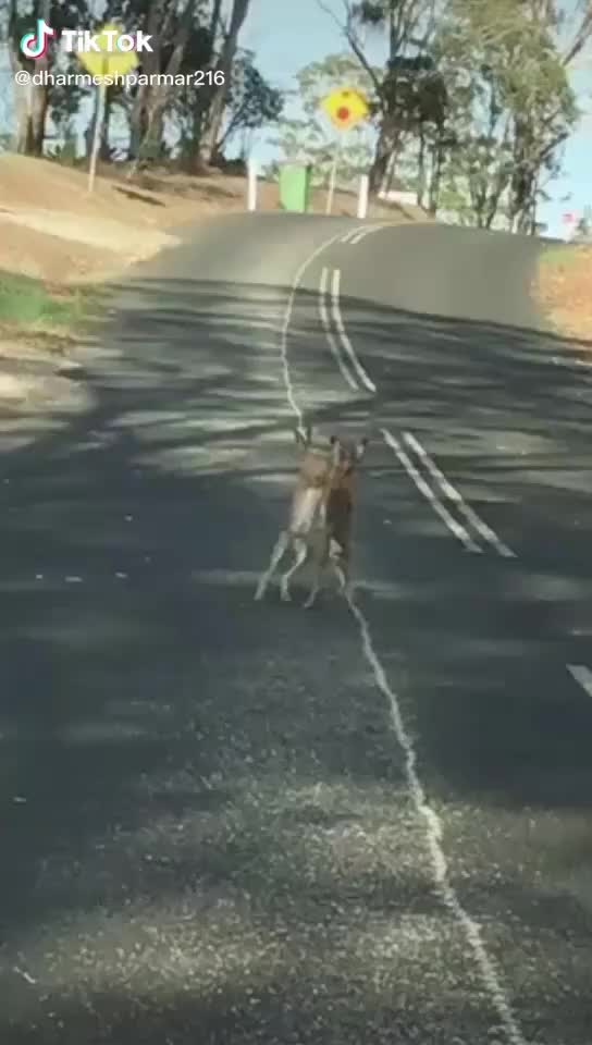 @Raju Dalavadiya