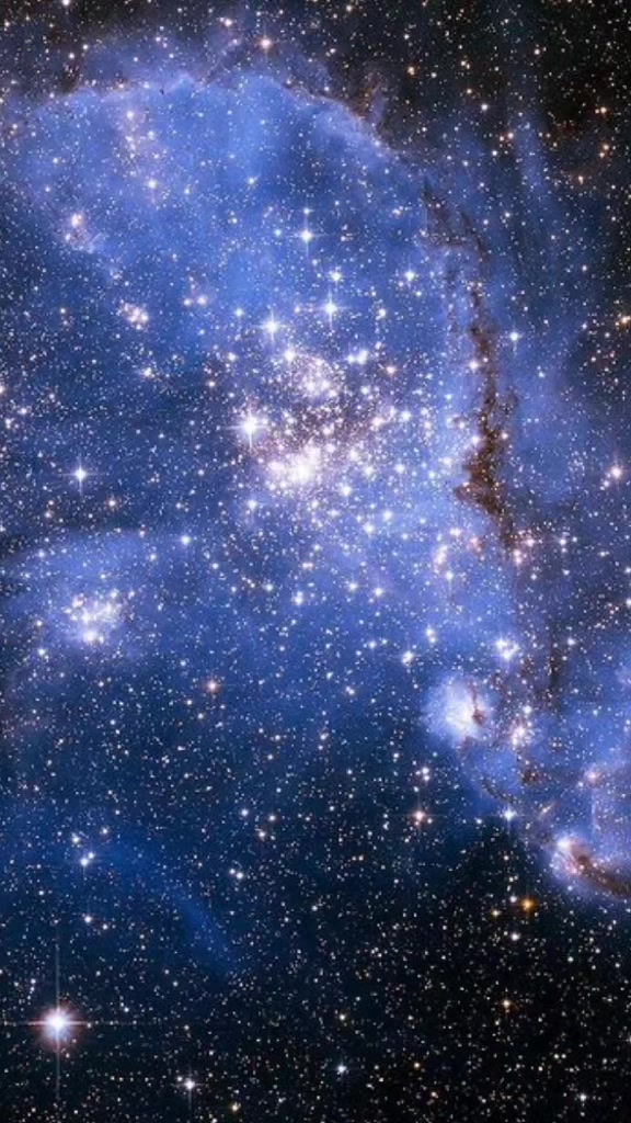 @Dragon Nebula