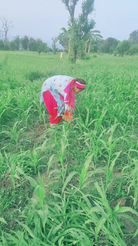 @Neha Sumit Kumar