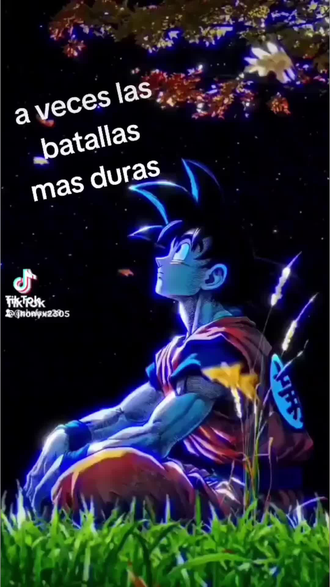 @Jesus Hernan Atuncar