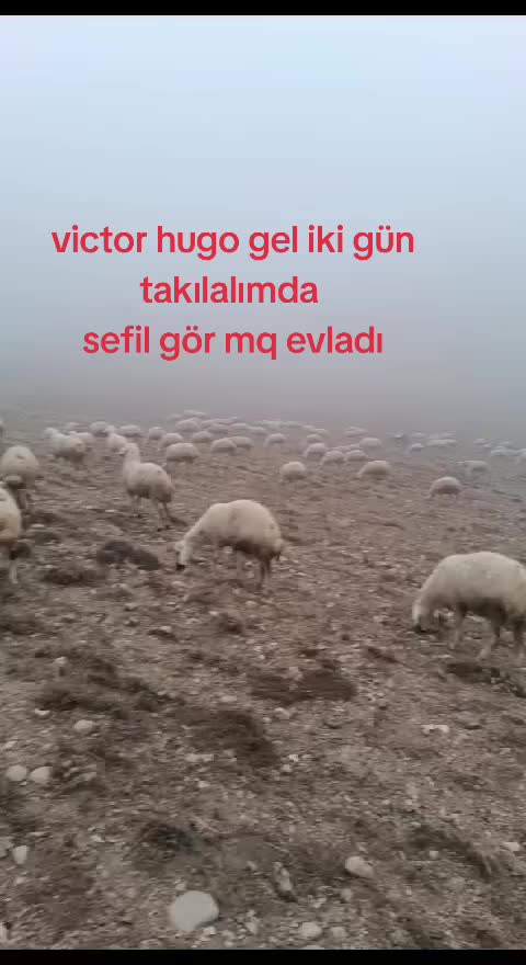 @Ozan Ak&ccedil;ay