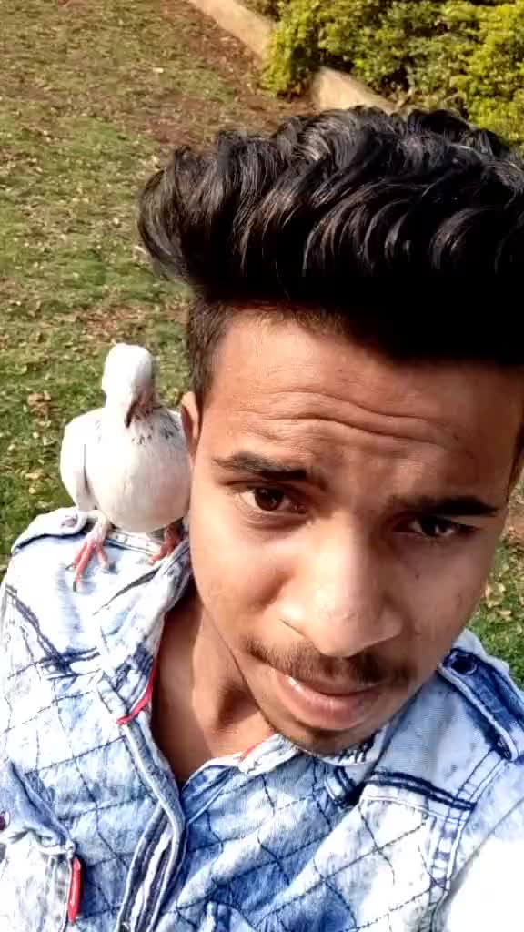 @user74489967699