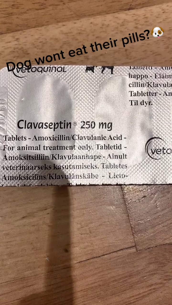 @Just that adorable pup