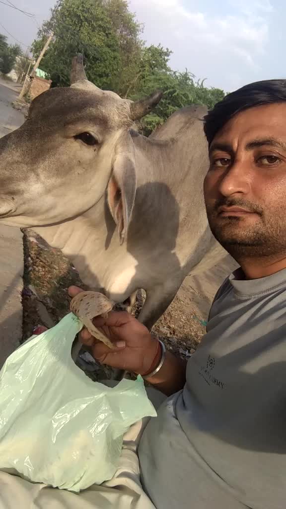 @Manjeet Jangra