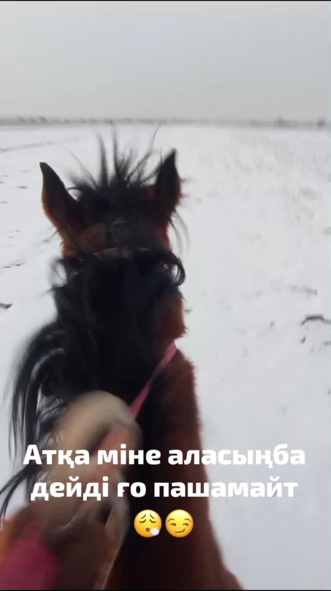 @Nurbakyt _777
