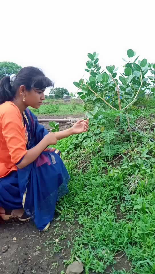 @VAISHU